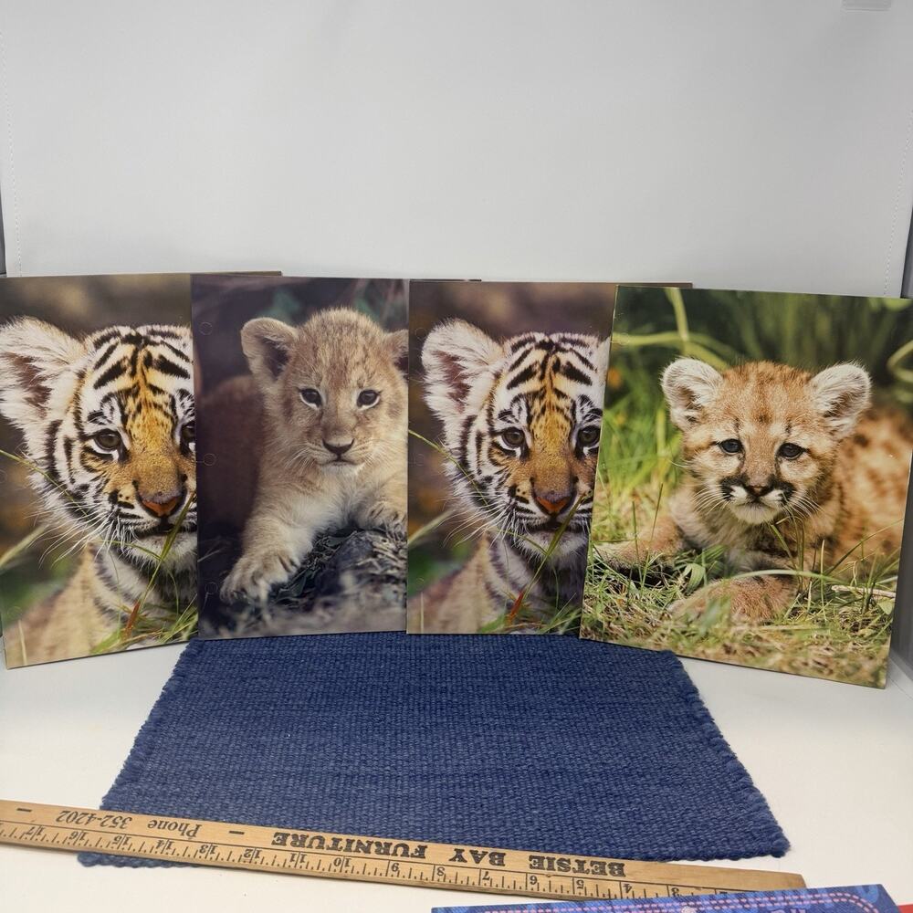 4 Vintage 80's MEAD Zoo Portfolio Pocket Folders Baby Animals LOT Retro Cute